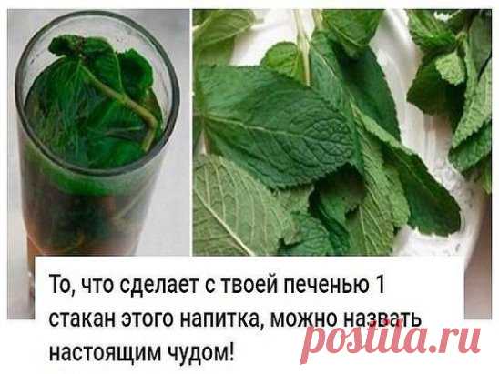 То, что сделает с твоей печенью 1 стакан этого напитка, можно назвать настоящим чудом!
Если печень перегружена или плохо работает, мы сразу же это чувствуем. Слабость, нехватка энергии, головокружение, тошнота, боль в правом подреберье, проблемы с пищеварением и кожная сыпь — всё это признаки того, что с печенью непорядок.
Очищение печени в домашних условиях возможно благодаря простому рецепту мятно-лимонного напитка! Абсолютно безопасное средство, которое тут же улучшает состояние организма,