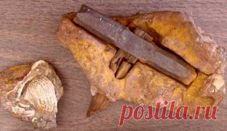 Человек разумный постарел на сто тысяч лет - "Факты о невероятном"