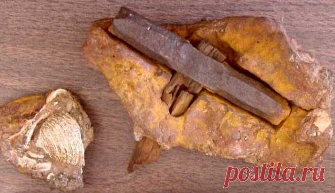Человек разумный постарел на сто тысяч лет - 