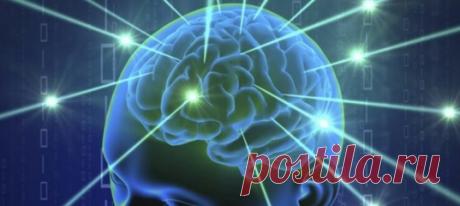 Наука и знание — вот две силы, которые двигают вперед всё вокруг! Новые технологии внедряются повсеместно и, в том числе, в полиции. Их использование особенно актуально, когда традиционные способы расследования не дают результатов. Один такой случай произошел в Дубае. Местная полиция не могла раскрыть убийство – подозреваемый ничем не выдавал себя, а прямых улик против него не было. Фото haskovo.net Тогда на помощь полицейским пришли ученые. Они предложили выполнить сканирование головного…