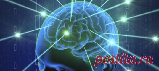 Наука и знание — вот две силы, которые двигают вперед всё вокруг! Новые технологии внедряются повсеместно и, в том числе, в полиции. Их использование особенно актуально, когда традиционные способы расследования не дают результатов. Один такой случай произошел в Дубае. Местная полиция не могла раскрыть убийство – подозреваемый ничем не выдавал себя, а прямых улик против него не было. Фото haskovo.net Тогда на помощь полицейским пришли ученые. Они предложили выполнить сканирование головного…