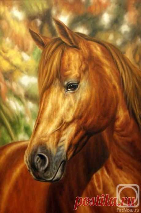 (9) Pinterest