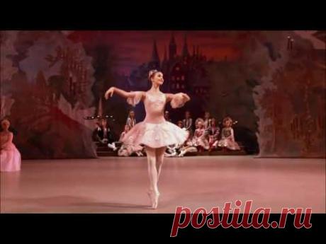 Балет Щелкунчик П И Чайковского Танец Феи Драже