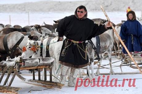 Оленеводы Ямала открестились от Киркорова. Российский артист Филипп Киркоров не приедет на Ямал для участия в ежегодном празднике День оленевода. Об этом сообщили в администрации Салехарда, заявление приводит РИА Новости. Власти города открестились от приписанного им намерения приглашать эстрадных артистов на праздник.