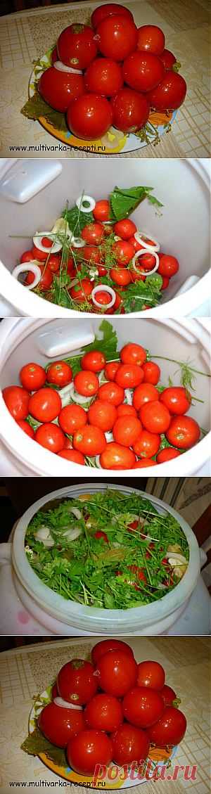 Рецепт засолки помидор и домашний кетчуп |