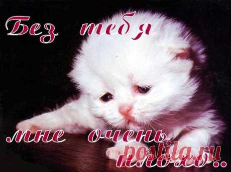 без тебя