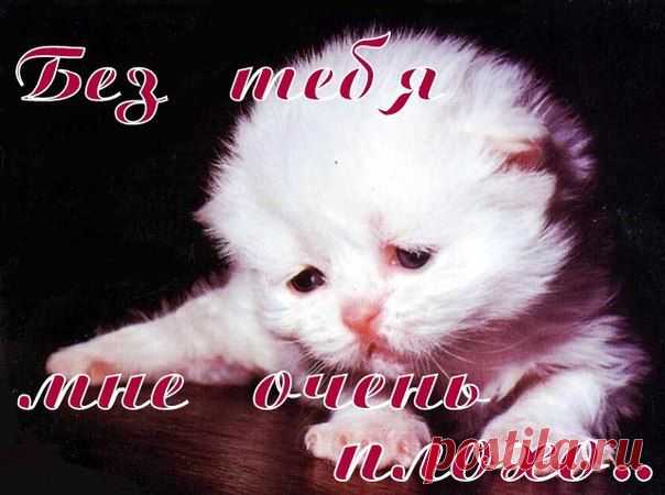 без тебя