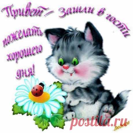 ДОБРОЕ УТРО!
Жизнь прекрасна!....Спора нет.... Ох, уж этот Интернет... Статусы со всех сторон, фотографий миллион..... Круг друзей намного шире... В жизни только три... четыре. Кто грустит... Кто веселится... Жаль нельзя увидеть лица... Руку тоже не пожать..... Остается смайлик слать.....Жизнь прекрасна!.....спора нет..... Всем друзьям я шлю Привет!..