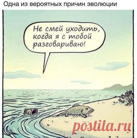 Радио Юмор FM