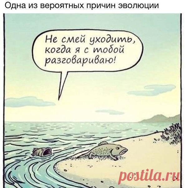 Радио Юмор FM