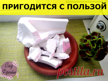 Пенопласт не выбрасываю, а использую для комнатных цветов. Показываю 3 простых способа применения бросового материала | Сад Фрейи | Яндекс Дзен