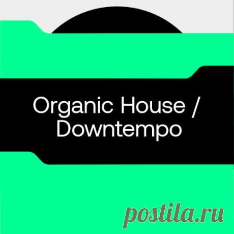 Beatport 2024's Best Tracks (So Far) Organic House » MinimalFreaks.co