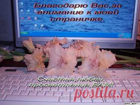 интернет гифки день рождение со стихами: 10 тыс изображений найдено в Яндекс.Картинках