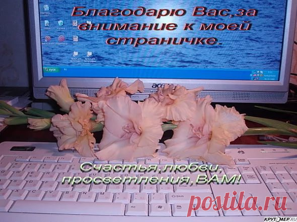 интернет гифки день рождение со стихами: 10 тыс изображений найдено в Яндекс.Картинках