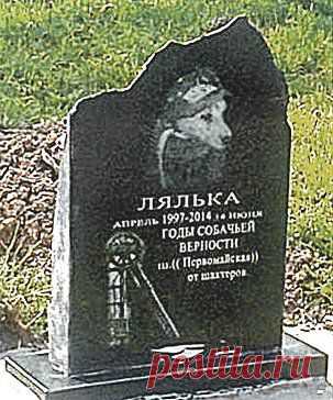 Дворняга Лялька 16 лет трудилась вместе с шахтерами Кузбасса. Ловила крыс, помогала выйти на поверхность заплутавшим горнякам, и за свою верность и преданность была удостоена памятника и почетного права быть захороненной на территории шахты. Историю удивительного животного читайте на «АиФ»
http://www.aif.ru/society/people/1213974