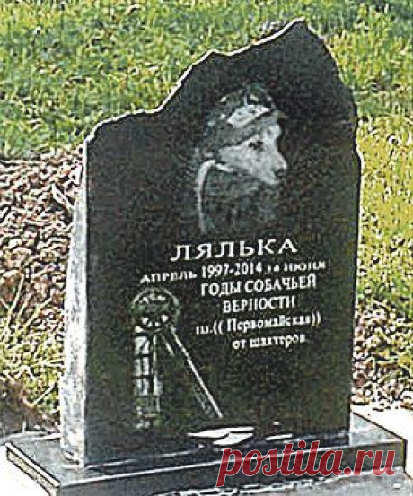 Дворняга Лялька 16 лет трудилась вместе с шахтерами Кузбасса. Ловила крыс, помогала выйти на поверхность заплутавшим горнякам, и за свою верность и преданность была удостоена памятника и почетного права быть захороненной на территории шахты. Историю удивительного животного читайте на «АиФ»
https://www.aif.ru/society/people/1213974