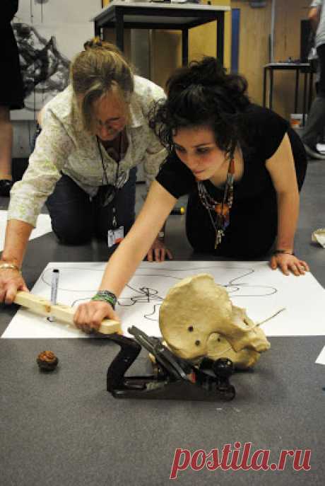BMET Outline: Experimental Drawing with Ian Andrews