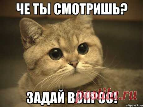 Мария Коротина