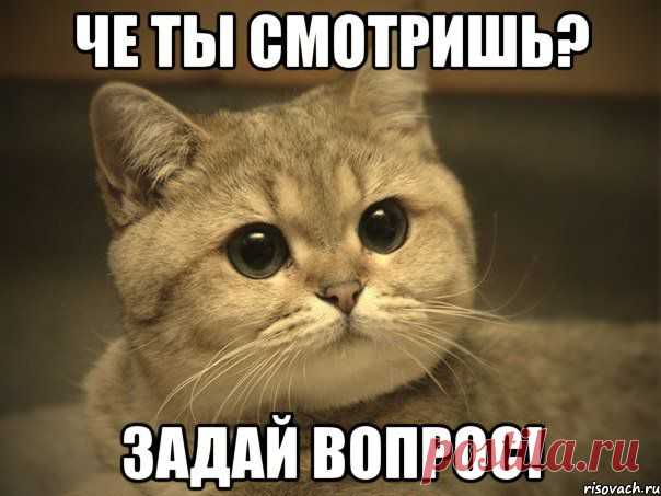 Диана Александрова