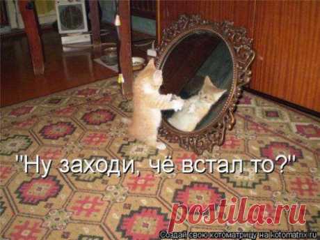 Интересные новости