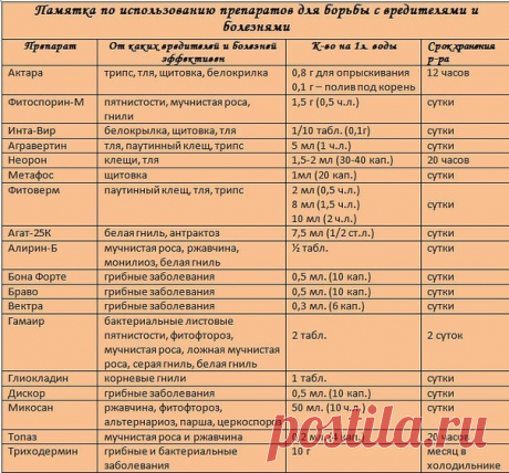 Сохраните, чтобы не потерять! В новом дачном сезоне пригодится!