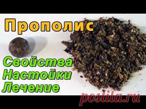 Прополис. Настойка прополиса. Свойства прополиса и лечение прополисом в быту.