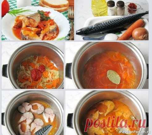 Скумбрия в томатном соусе А что у нас к обеду? Вкусная рыбка, сочная и вкусная, как у мамы!Как правило, любую рыбу в томатном соусе готовят по одинаковой технологии. Её жарят и кладут в приготовленный томатный соус. Прогревают в нём 5-10 минут и готово. Блюдо диетическое, напоминающее по вкусу консервы в томатном...
