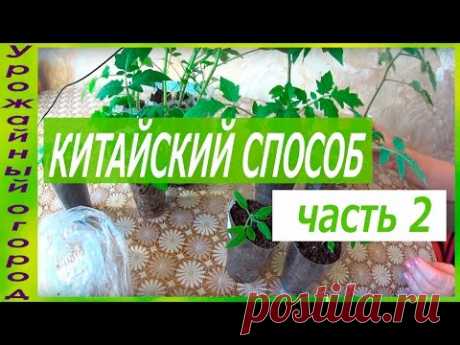 ►РЕЗУЛЬТАТ КИТАЙСКОГО СПОСОБА ЧЕРЕЗ 1 МЕСЯЦ!