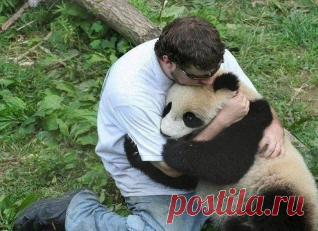 ♥ БРАТЬЯ НАШИ МЕНЬШИЕ ♥ | ВКонтакте