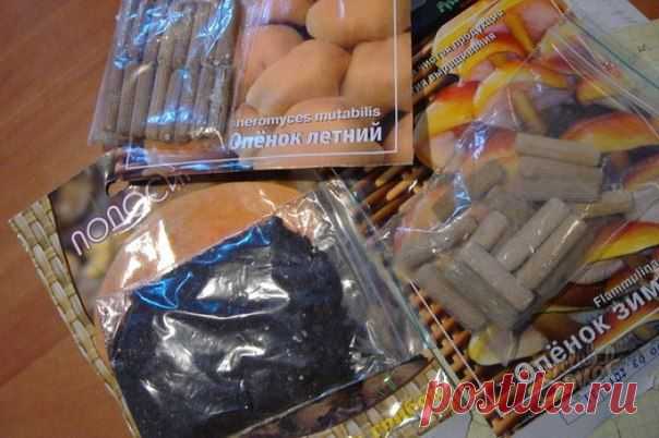 Новости