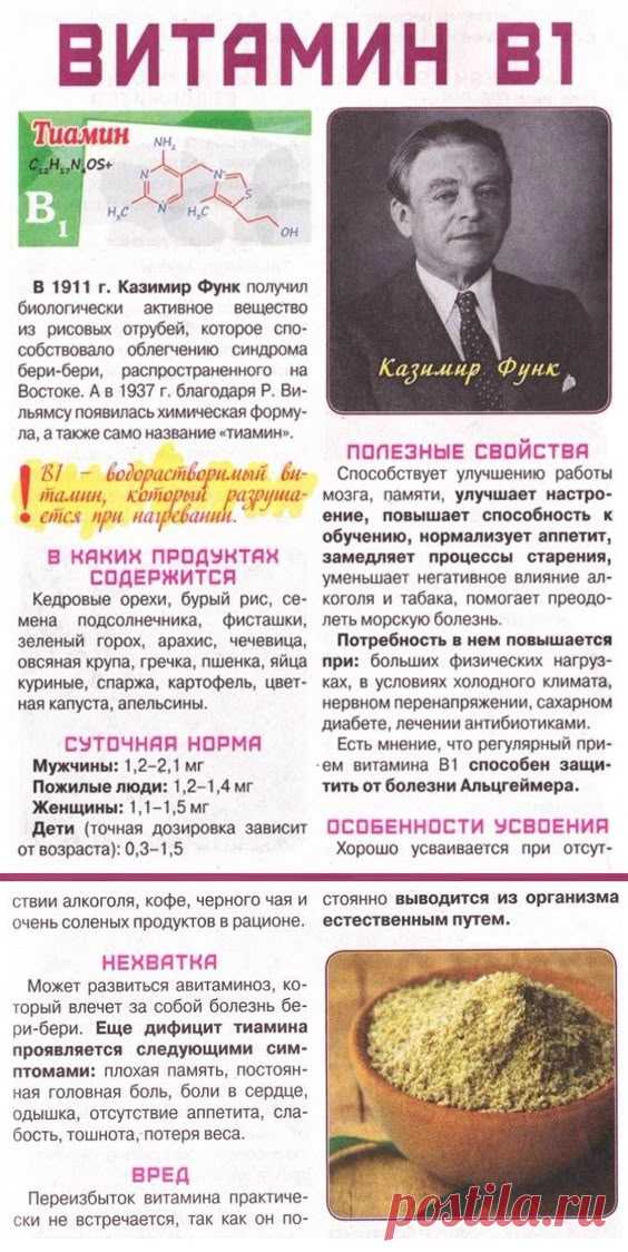 Витамин В1 в организме человека