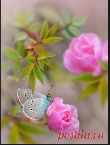 BELEZAS NATURAIS: