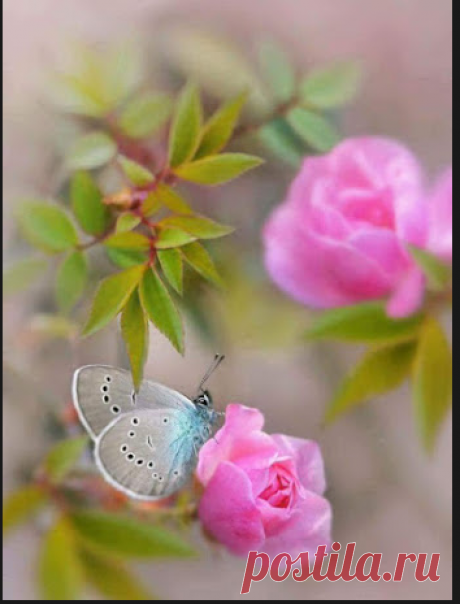 BELEZAS NATURAIS: