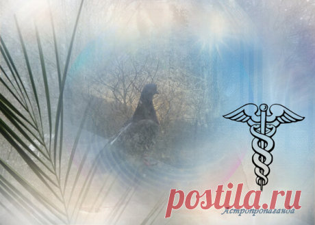 22 марта 2019. Магия лунных и солнечных суток | Астропропаганда | Яндекс Дзен
Автор: астролог Нина Стрелкова. 
День связан с возвышением, сохранением равновесия, очищением и обновлением. Магия дня: очищение водой, практики, направленные на улучшение материального и социального положения. Гадания дня: этот день хорош для получения сокровенных знаний, хорошо гадать, бросать жребий, задавать вопросы, касающиеся карьеры, денег, политической обстановки. Не следует гадать в этот день на личную