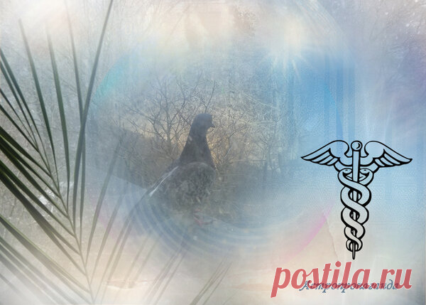 22 марта 2019. Магия лунных и солнечных суток | Астропропаганда | Яндекс Дзен
Автор: астролог Нина Стрелкова. 
День связан с возвышением, сохранением равновесия, очищением и обновлением. Магия дня: очищение водой, практики, направленные на улучшение материального и социального положения. Гадания дня: этот день хорош для получения сокровенных знаний, хорошо гадать, бросать жребий, задавать вопросы, касающиеся карьеры, денег, политической обстановки. Не следует гадать в этот день на личную