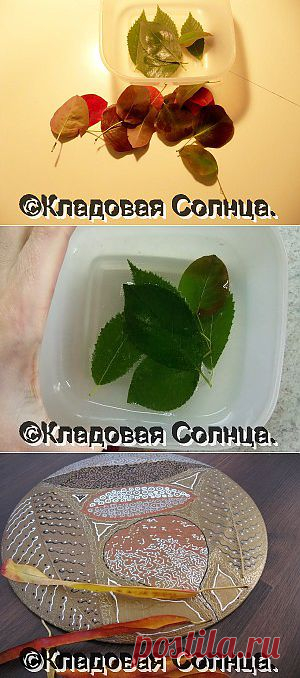 (+1) - Как скелетировать листья | СВОИМИ РУКАМИ