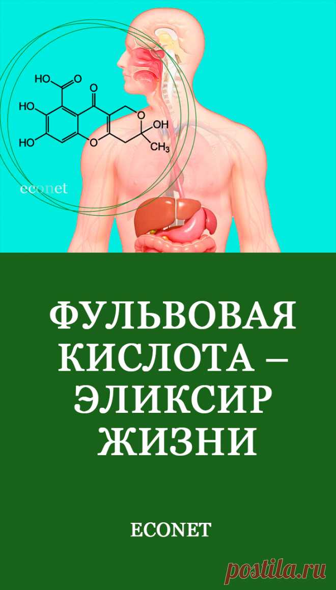Фульвовая кислота – эликсир жизни

Благодаря уникальному свойству улучшать поглощение клетками антиоксидантов и электролитов фульвовая кислота является продуктом замедления старения, улучшения работы пищеварительного тракта и защиты мозга. Какой еще полезный эффект демонстрирует фульвовая кислота?