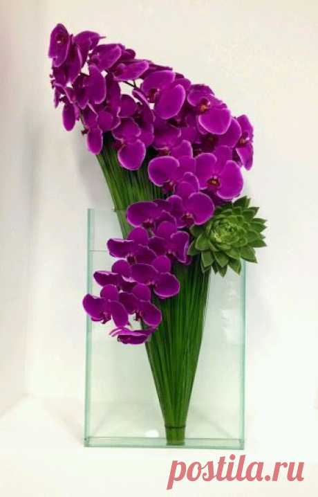 EVERY KIND OF FLOWERS – Сообщество – Google+