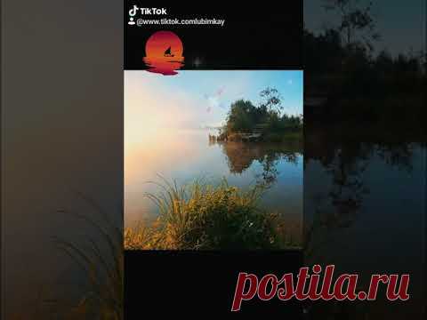 Доброго вечера! #вечер​