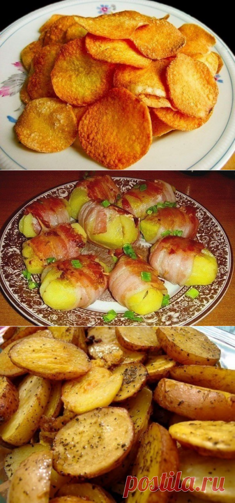 10 вкусных рецептов из картофеля ✨