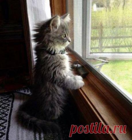 Amazing pictures - Главная