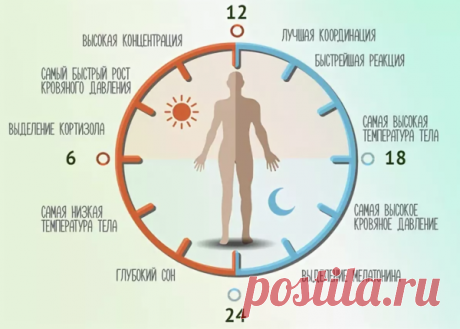 Уход за кожей по часам. Как сохранить красоту и молодость | 7 минут на красоту | Яндекс Дзен