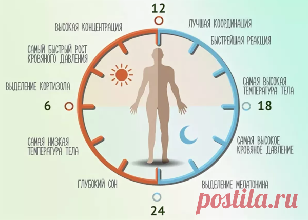 Уход за кожей по часам. Как сохранить красоту и молодость | 7 минут на красоту | Яндекс Дзен