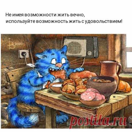 Синие коты - 61 фото - картинки: смотреть онлайн