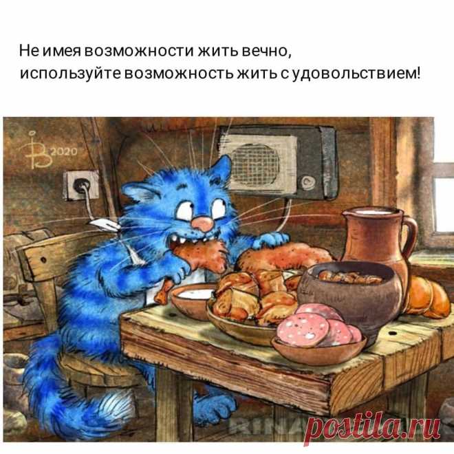 Синие коты - 61 фото - картинки: смотреть онлайн