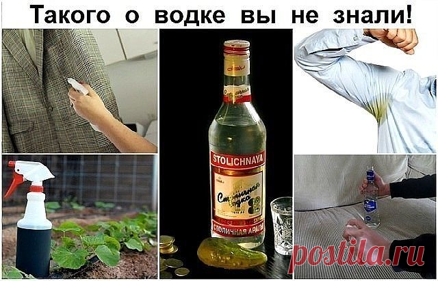 Такого о водке вы не знали! Жмите КЛАСС, сохраняйте в своей ленте.
20 вариантов использования ВОДКИ не по назначению
(ТАКОГО ВЫ РАНЬШЕ НЕ ЗНАЛИ!!!)

1. Чтобы без боли снять с раны лейкопластырь, пропитайте его водкой. Она растворит клей.

2. Водка борется с неприятным запахом от ног.
Причина запаха – бактерии, обитающие около потовых желез. Обтирая утром и вечером ноги водкой, вы ликвидируете эти бактерии, и некому будет «производить» неприятный запах.

3. Чтобы прочистить...