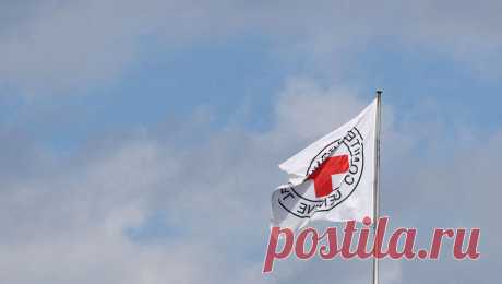 Красный Крест подтвердил освобождение группы из 24 пленных в секторе Газа. Международный комитет Красного Креста (МККК) подтвердил успешное освобождение группы из 24 заложников из сектора Газа. Об этом говорится в сообщении организации в социальной сети Х. &quot;Мы с облегчением подтверждаем благополучное ...