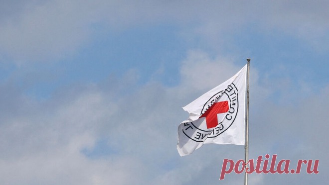 Красный Крест подтвердил освобождение группы из 24 пленных в секторе Газа. Международный комитет Красного Креста (МККК) подтвердил успешное освобождение группы из 24 заложников из сектора Газа. Об этом говорится в сообщении организации в социальной сети Х. "Мы с облегчением подтверждаем благополучное ...