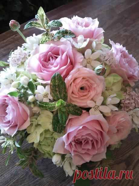 флористика