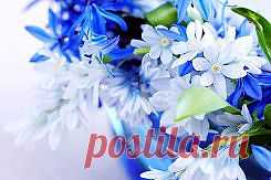 цветы картинки красивые - 521 тыс. картинок. Поиск@Mail.Ru